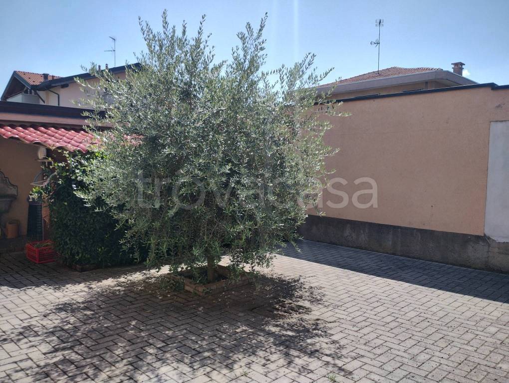 immagine annuncio 10 di 11