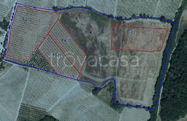 immagine annuncio 1 di 7