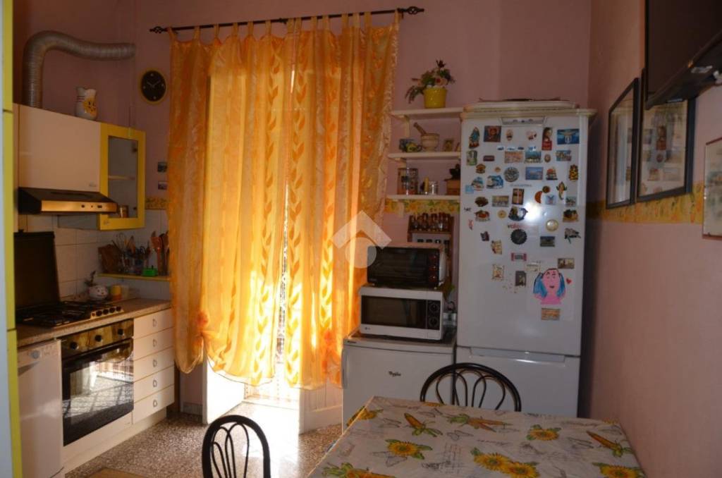 immagine annuncio 5 di 13