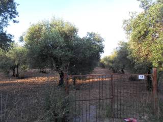 Terreno agricolo in vendita a formia via mamurrano