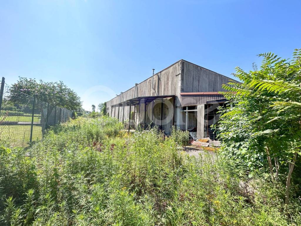 immagine annuncio 5 di 15