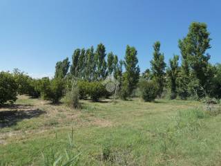 Terreno agricolo in affitto a policoro via giumenteria, 1