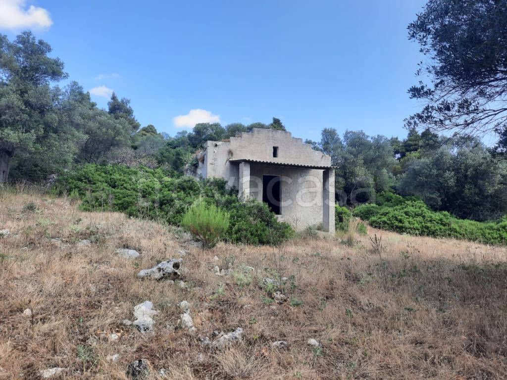 immagine annuncio 1 di 8