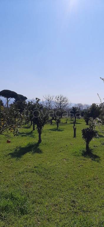 immagine annuncio 4 di 6