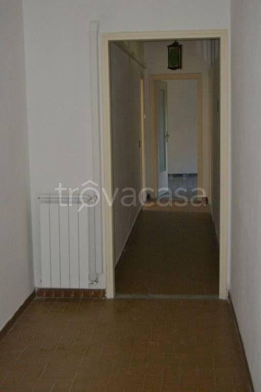 Appartamento in in affitto da privato ad Albano Laziale via Olanda