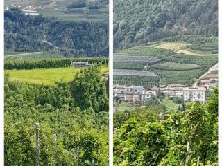 Terreno agricolo in vendita a ville d'anaunia strada provinciale quattro ville