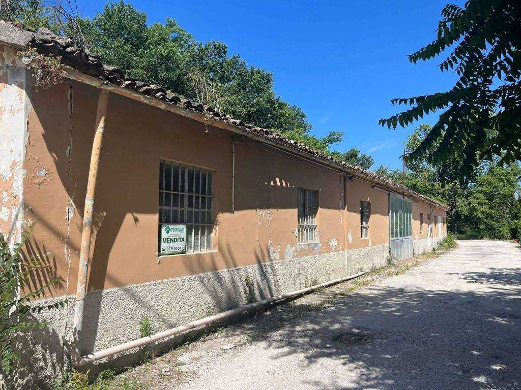 immagine annuncio 4 di 6