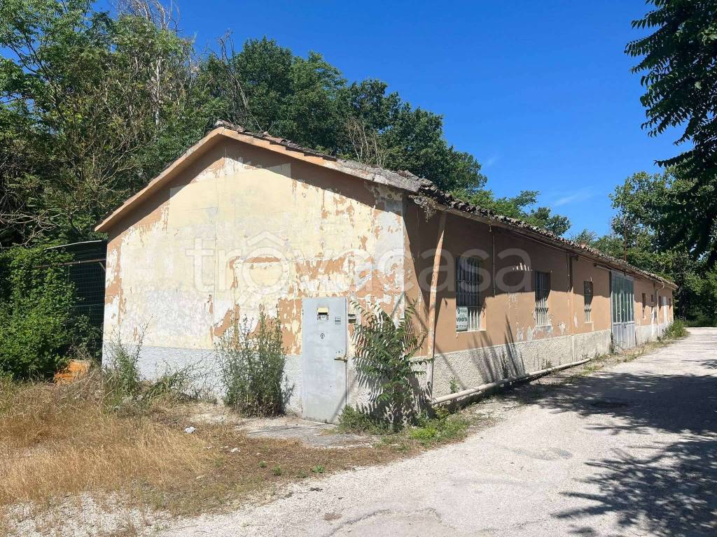 immagine annuncio 5 di 6