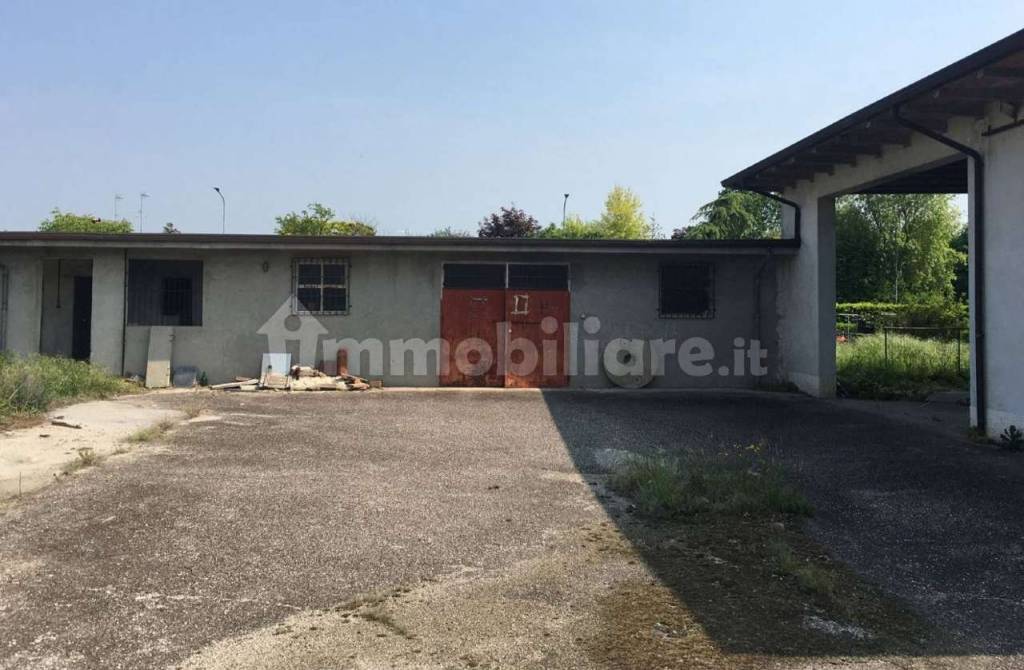 immagine annuncio 1 di 11