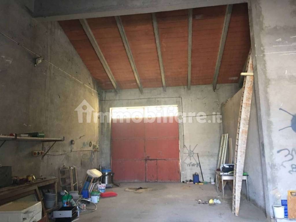 immagine annuncio 3 di 11