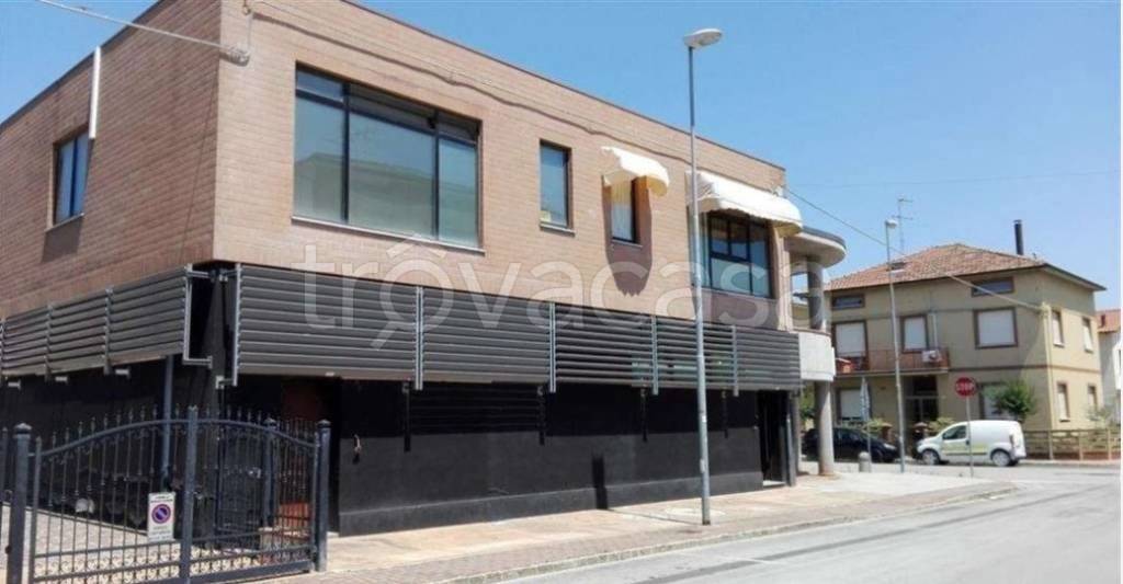 immagine annuncio 4 di 14