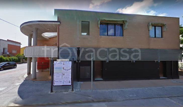 immagine annuncio 5 di 14