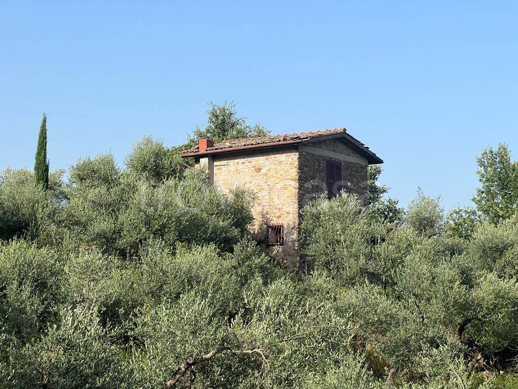 Casa Indipendente in vendita a Genazzano via Colle Pizzuto