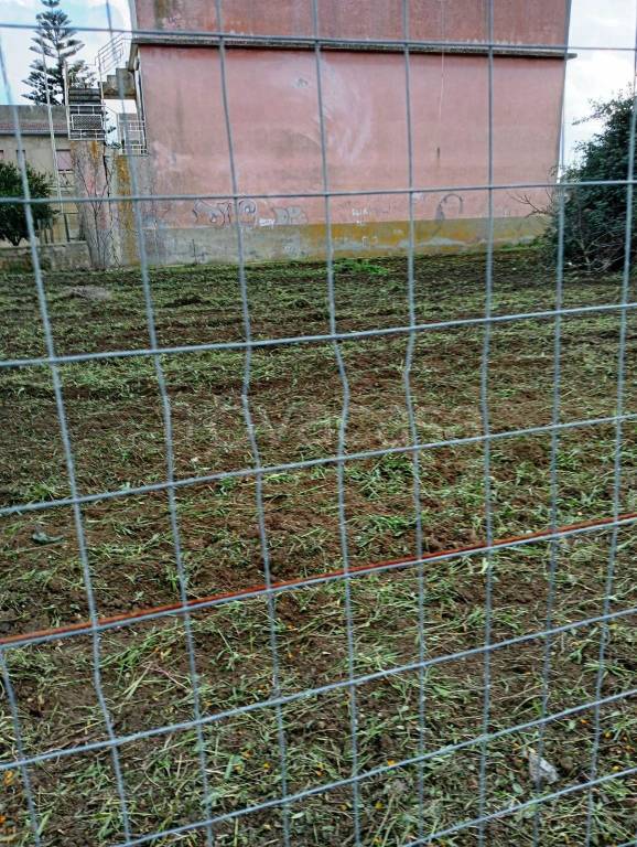 immagine annuncio 4 di 6