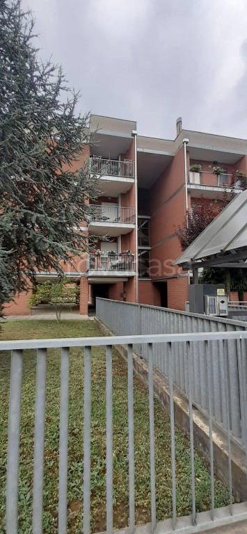 immagine annuncio 7 di 8