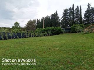 Terreno agricolo in vendita a livorno 