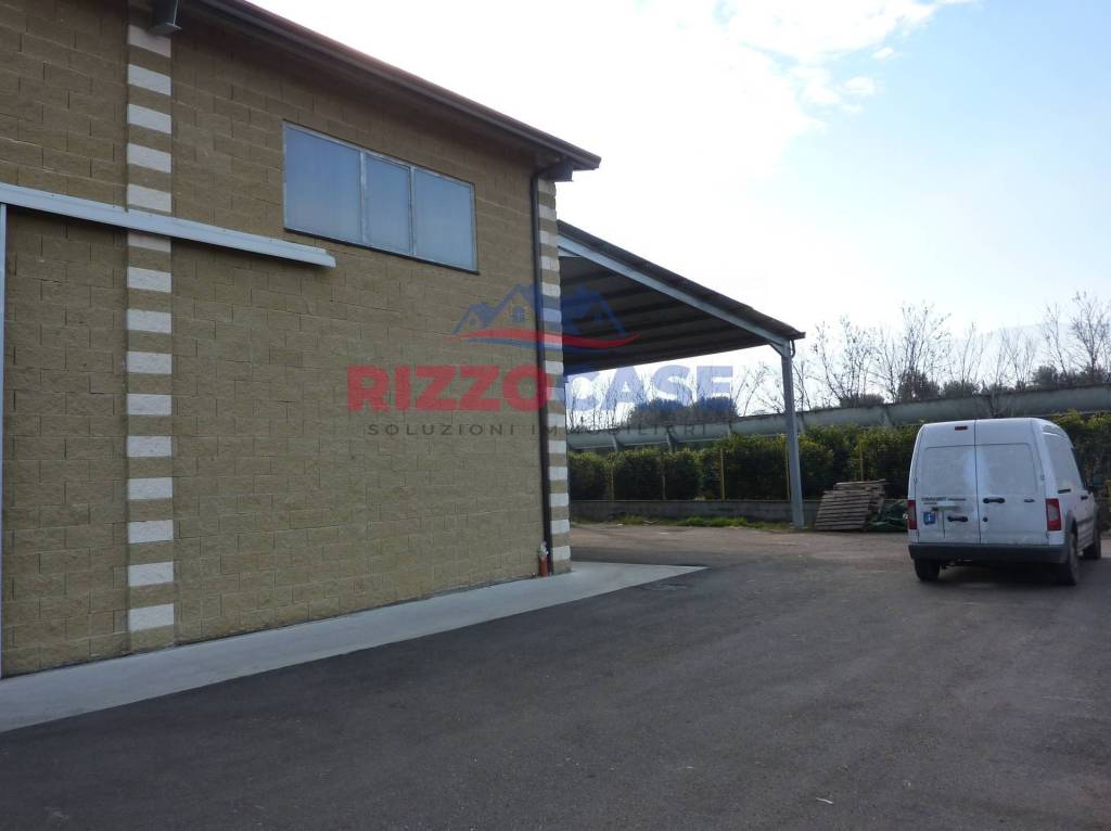 immagine annuncio 2 di 13