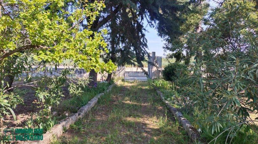 immagine annuncio 5 di 11
