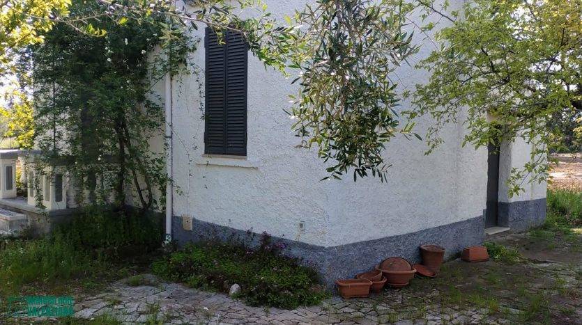 immagine annuncio 10 di 11