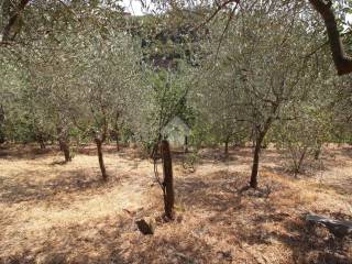 Terreno agricolo in vendita a sanremo via delle fonti, 1