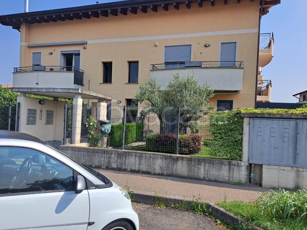 immagine annuncio 3 di 15