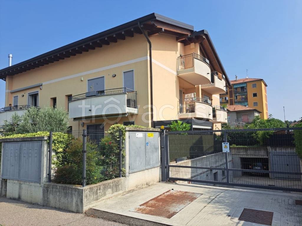 immagine annuncio 4 di 15