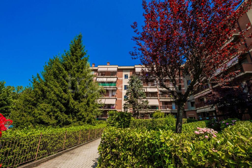 Appartamento in vendita ad Alpignano via costa, 0