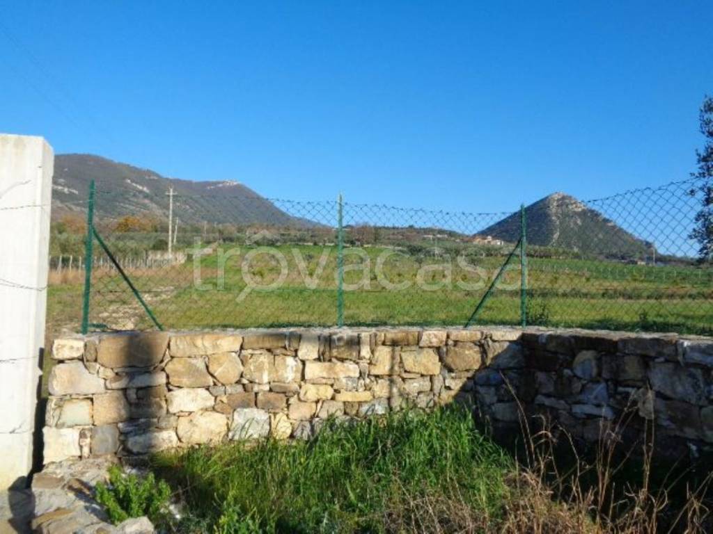 immagine annuncio 2 di 7