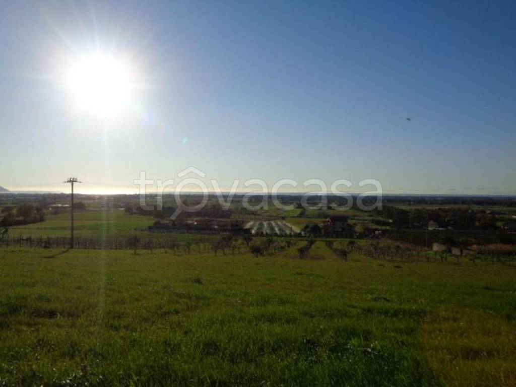 immagine annuncio 5 di 7