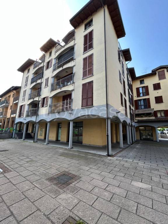 immagine annuncio 12 di 15