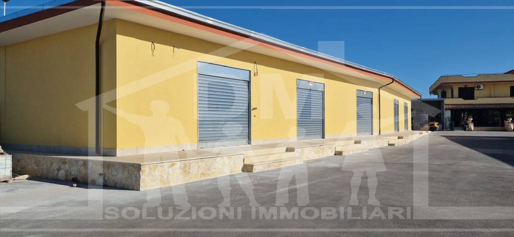 immagine annuncio 1 di 8