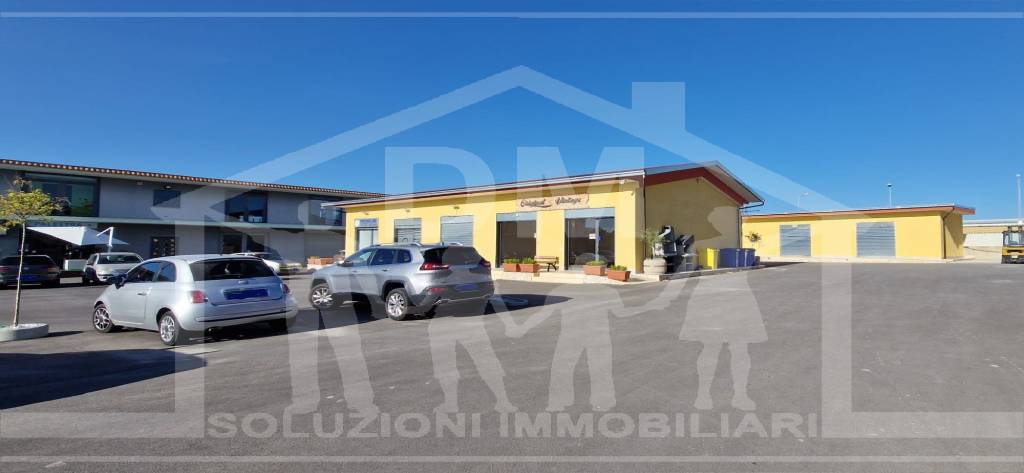 immagine annuncio 5 di 8