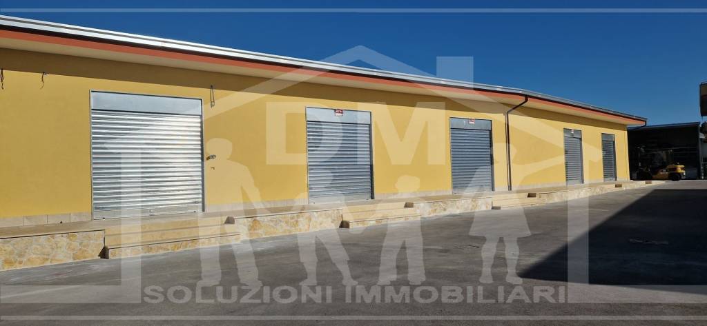 immagine annuncio 4 di 8