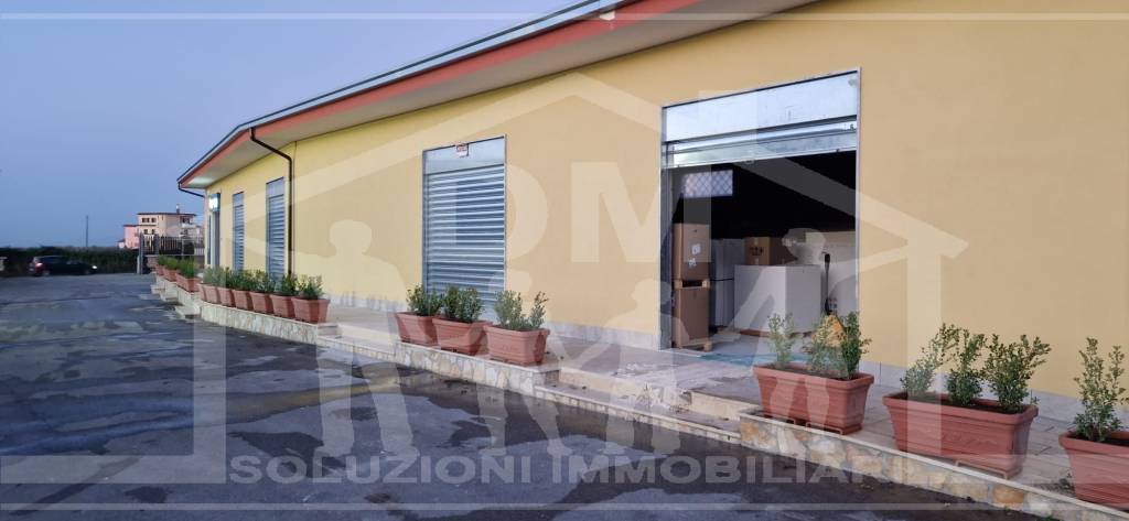 immagine annuncio 7 di 8
