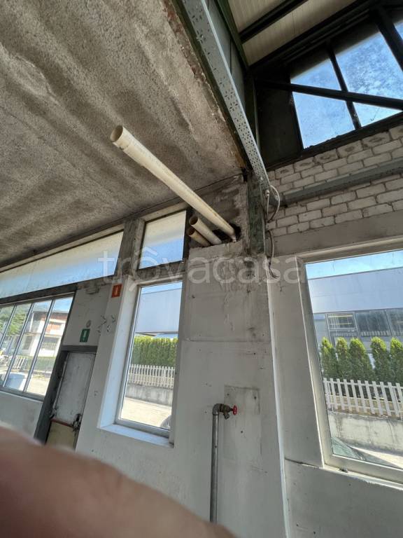 immagine annuncio 5 di 12