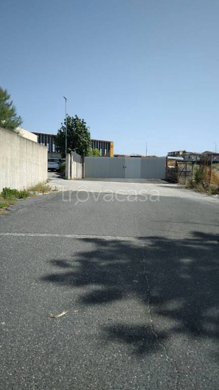immagine annuncio 5 di 6