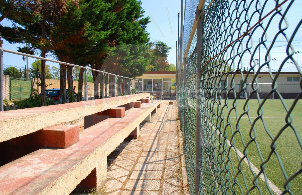 immagine annuncio 3 di 14
