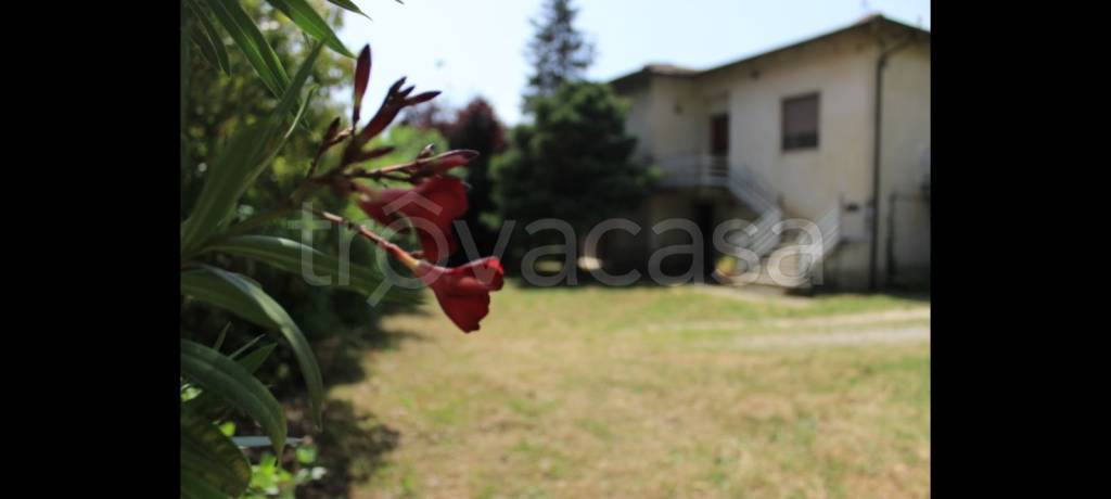 Villa in in vendita da privato a Santa Maria a Monte via Valle, 7
