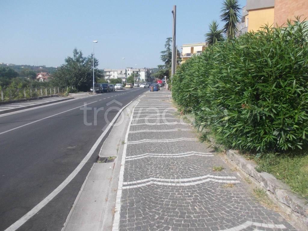 immagine annuncio 6 di 8