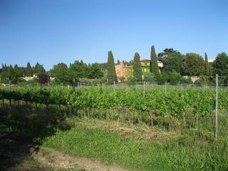 Terreno agricolo all'asta a grottaferrata via anagnina, 20