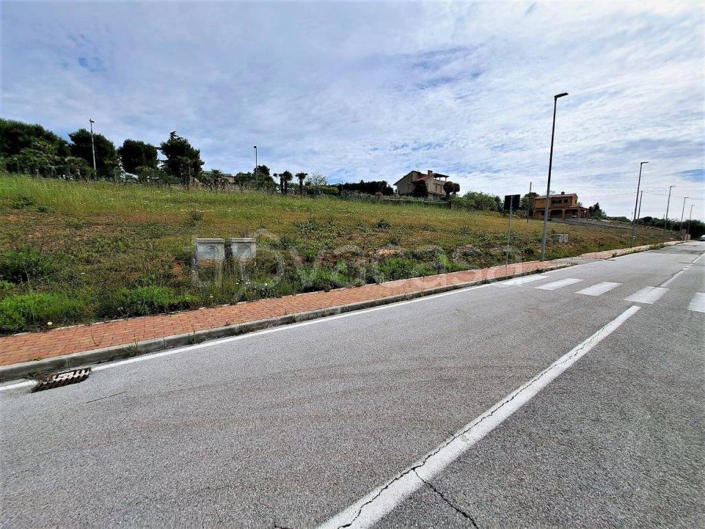 immagine annuncio 5 di 12
