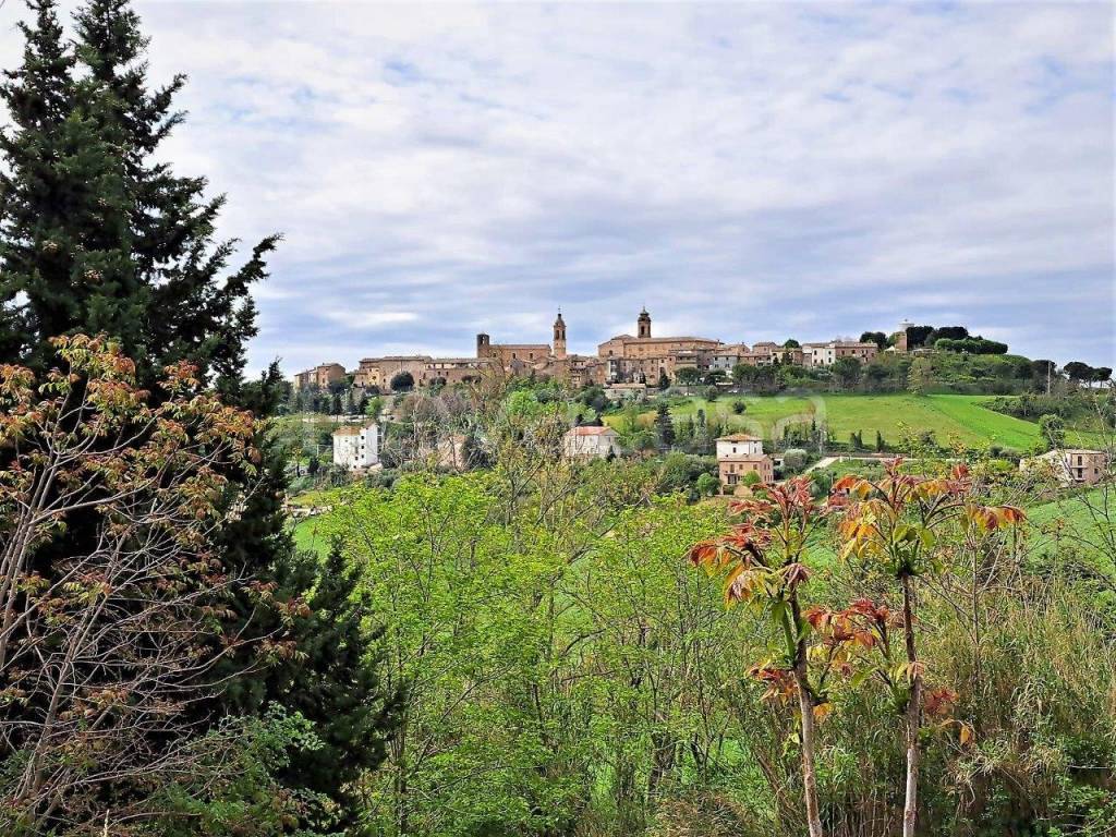 immagine annuncio 9 di 12