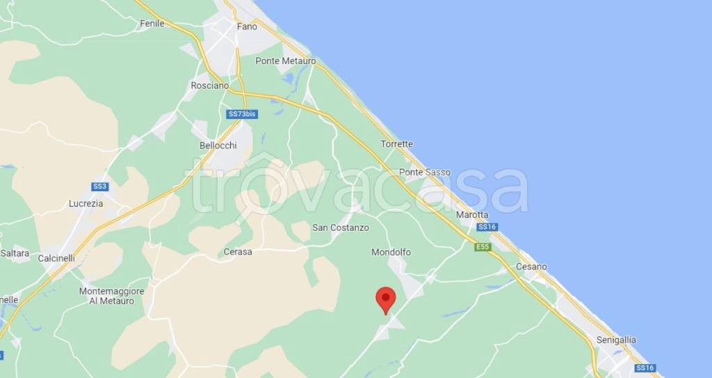 immagine annuncio 5 di 14