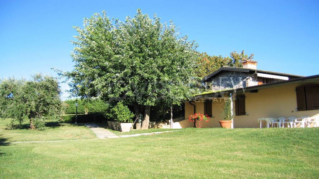 immagine annuncio 3 di 8