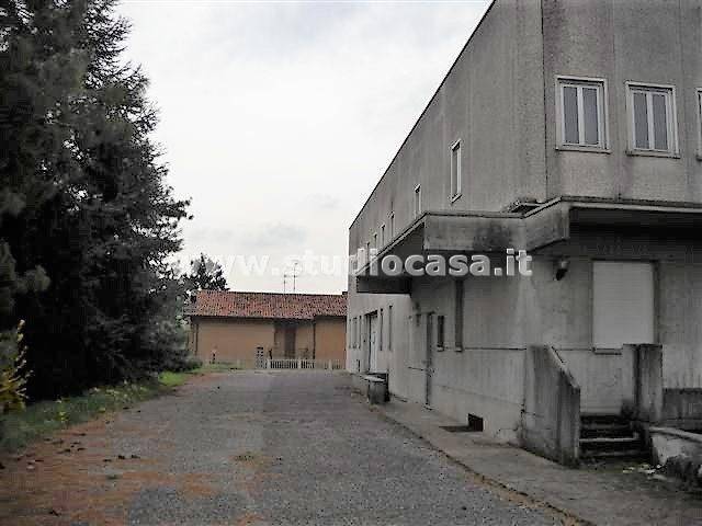 immagine annuncio 1 di 10