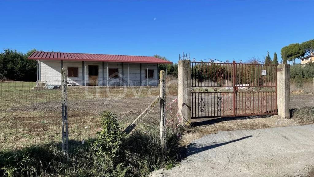 immagine annuncio 8 di 9