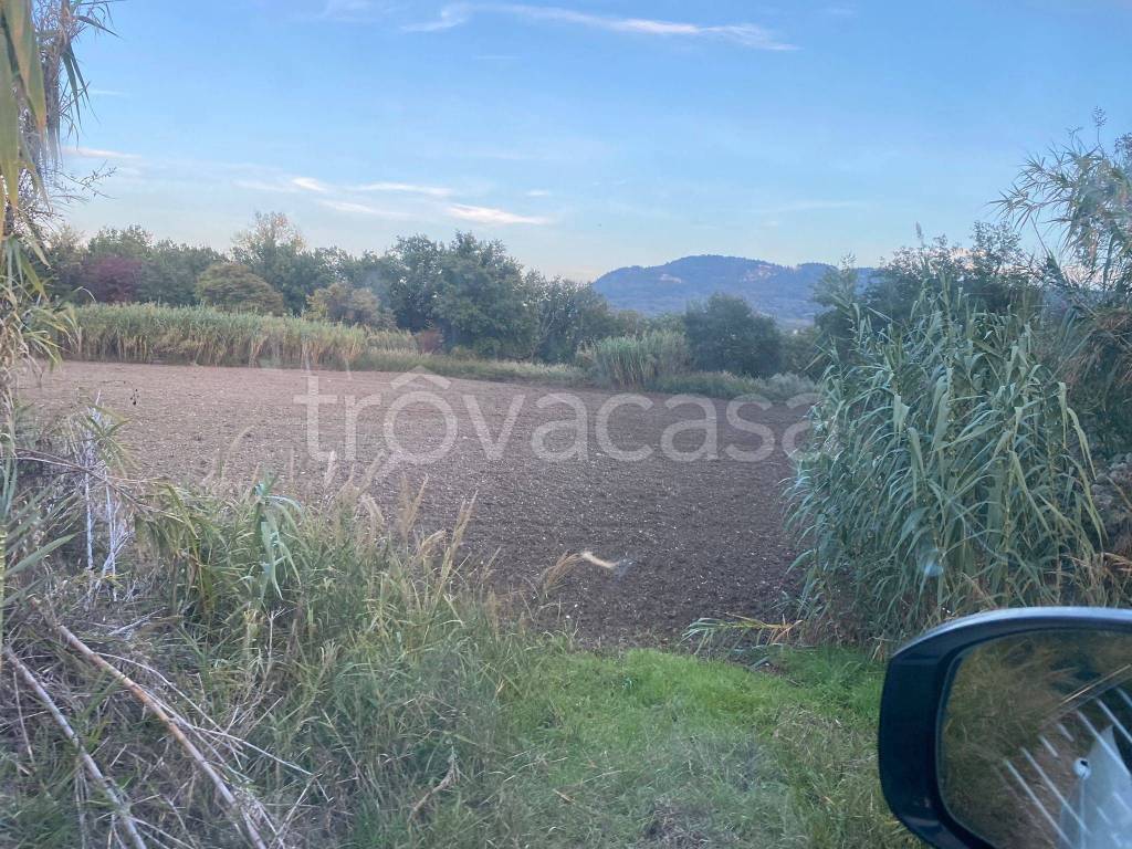 Terreno Agricolo in vendita a Casalanguida strada Provinciale Traversa di Casalanguida
