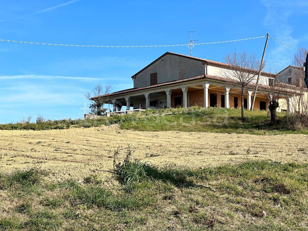 Terreno Agricolo in affitto a Tavullia strada San Giovanni in Marignano, 94