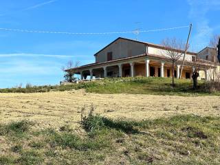 Terreno agricolo in affitto a tavullia strada san giovanni in marignano, 94