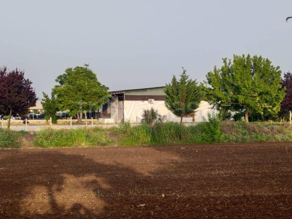 immagine annuncio 8 di 12
